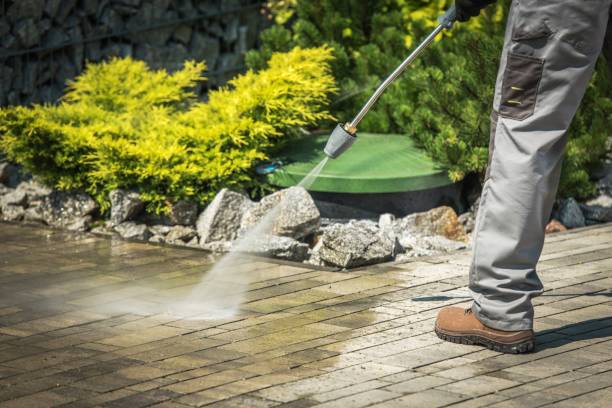 Best Pre-Holiday Cleaning  in Wrightsville, PA