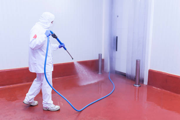 Best Roof Washing  in Wrightsville, PA
